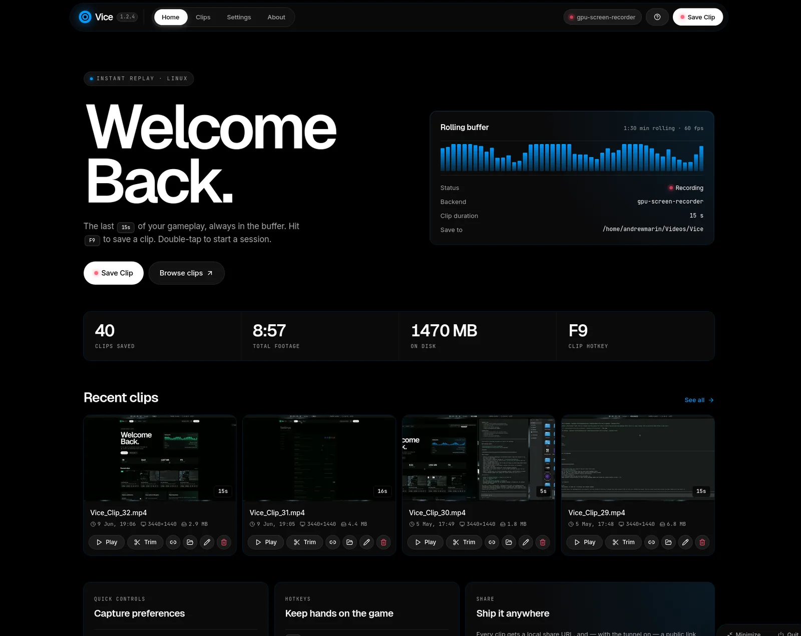 The Vice dashboard with a live rolling buffer, clip stats, and recent clips